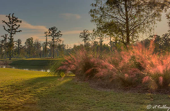 TPC Louisiana #16