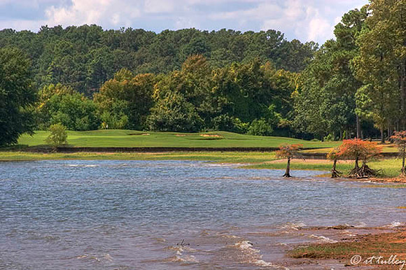 Cypress Bend #14 green