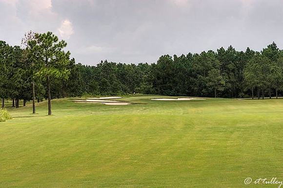 Gray Plantation #12