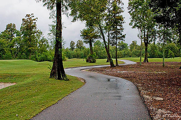 TPC Louisiana #15