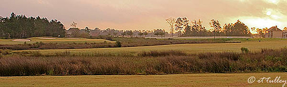 Gray Plantation #7 Panorama at Daybreak