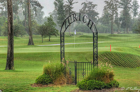 TPC Louisiana #9