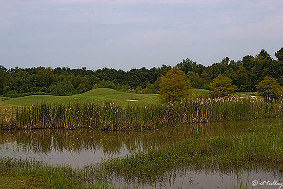 Atchafalaya #8