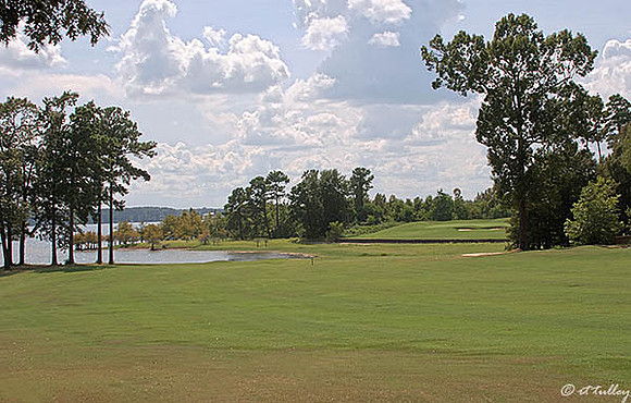 Cypress Bend #14
