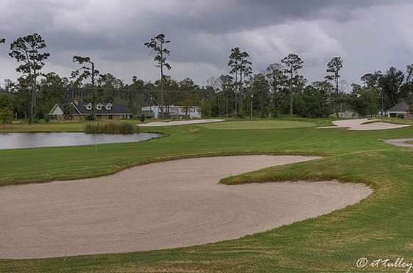 Gray Plantation #14