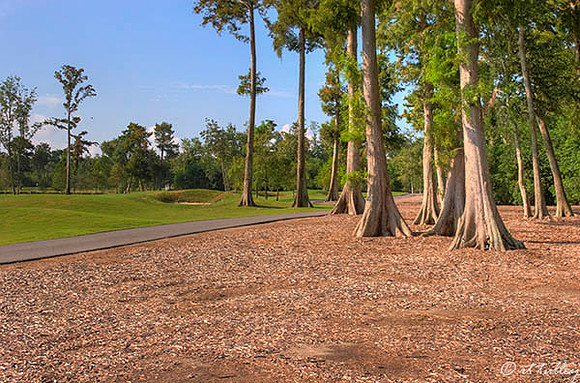 TPC Louisiana #1