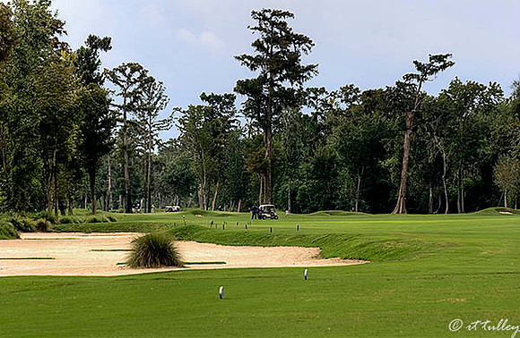 TPC Louisiana #11