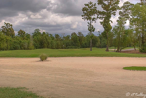 TPC Louisiana #11