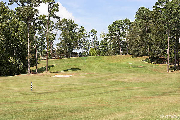 Cypress Bend #15