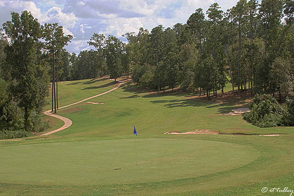 Cypress Bend #12