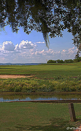 Cypress Bend #17