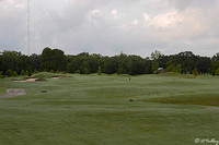 Atchafalaya #1