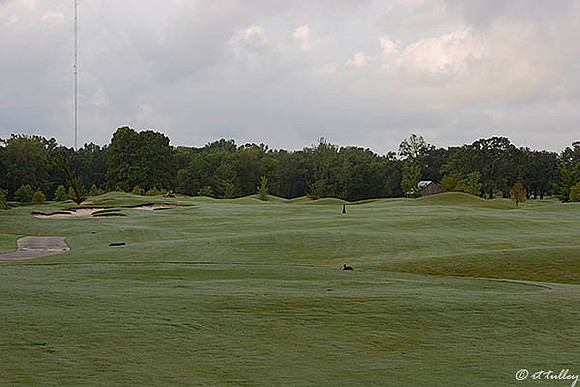 Atchafalaya #1