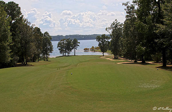 Cypress Bend #14