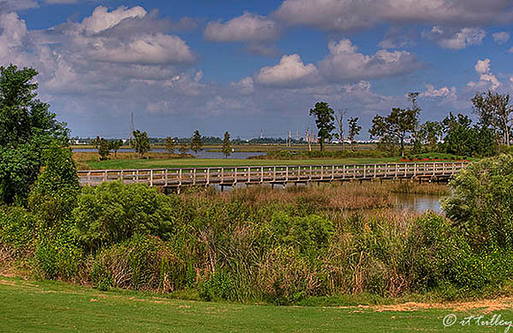 Gray Plantation #6