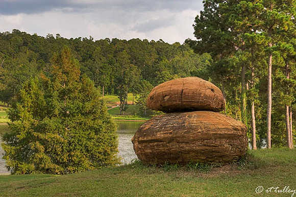 Cypress Bend #7