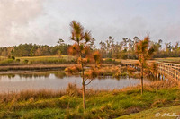 Gray Plantation