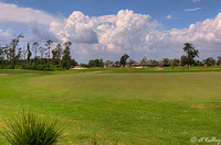 Gray Plantation Practice Putting Green