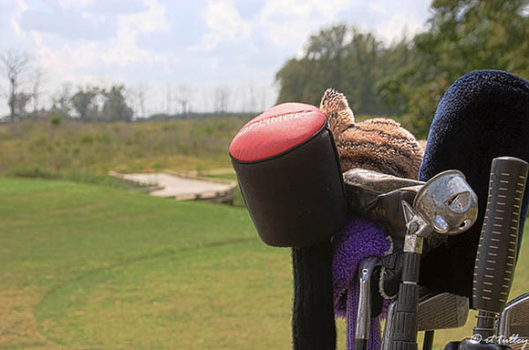 Black Bear GC rt's clubs