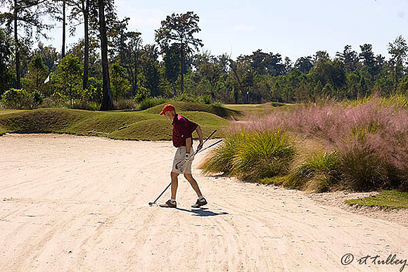 TPC Louisiana #2