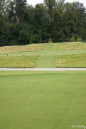 Atchafalaya #18 Tees