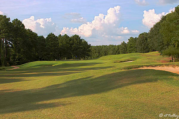 Cypress Bend #6