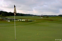 Atchafalaya #11 green
