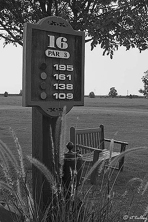 the Island #16 B/W