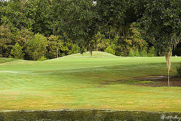 Atchafalaya #3 green