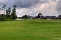 Gray Plantation #1