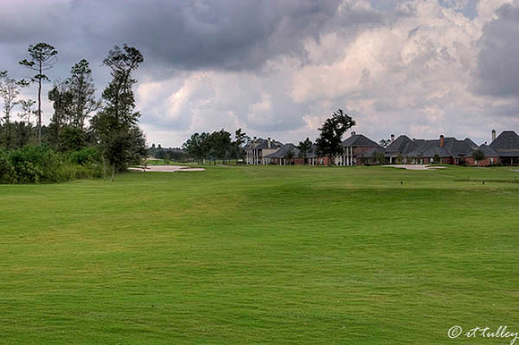 Gray Plantation #1