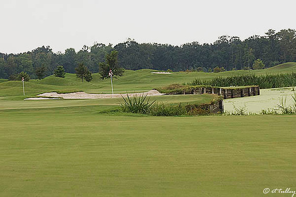Atchafalaya #18 Green