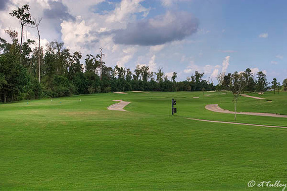 Gray Plantation #4