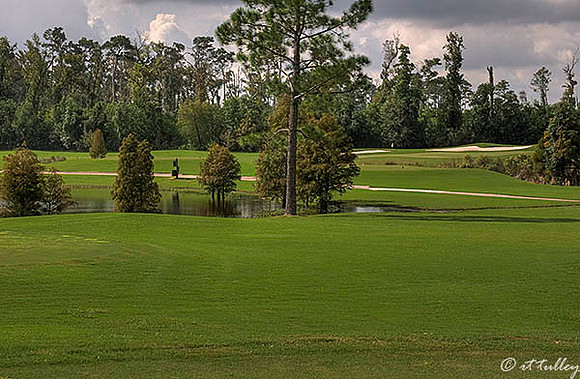 Gray Plantation #3 Tee and #4 Green