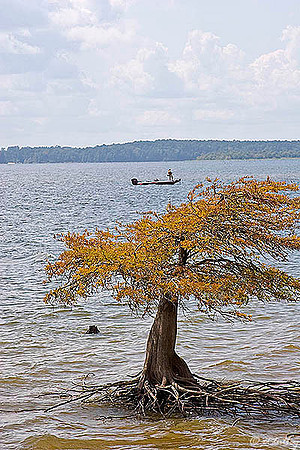 Cypress Bend - Toledo Bend