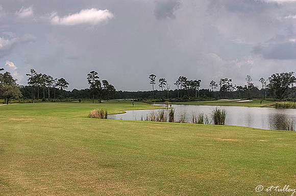 Gray Plantation #11