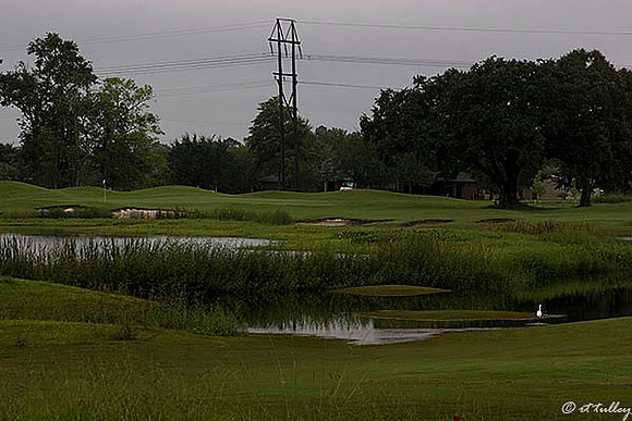 Atchafalaya #14