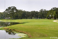 Atchafalaya #7