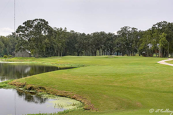 Atchafalaya #7