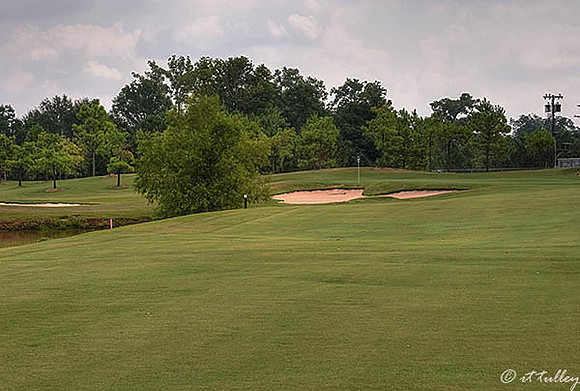 Oakwing GC #16