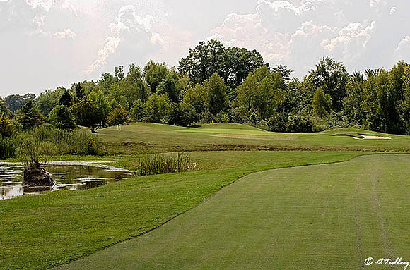 Olde Oaks Cypress #7