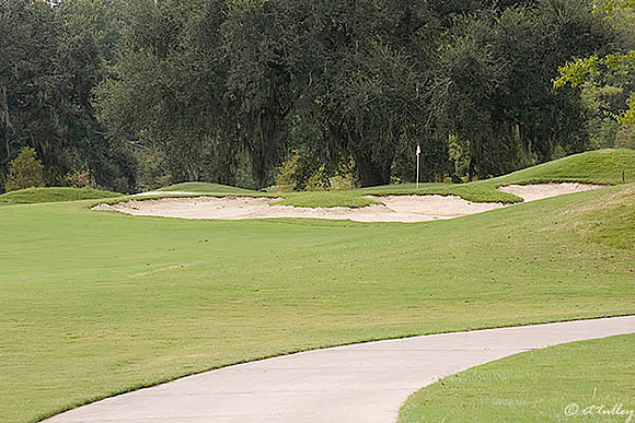Atchafalaya #5 green
