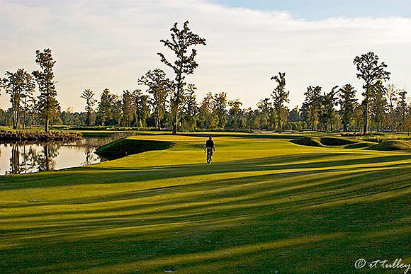 TPC Louisiana #16