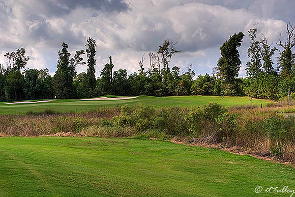 Gray Plantation #4