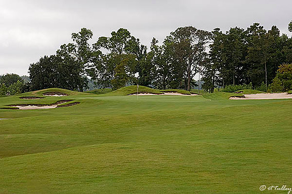 Atchafalaya #15