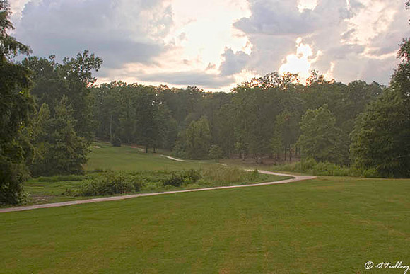 Cypress Bend #9