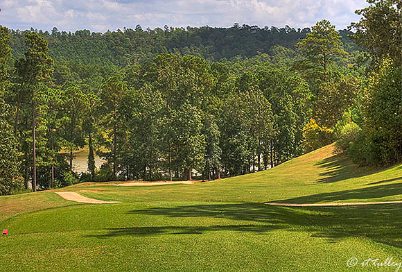 Cypress Bend #10