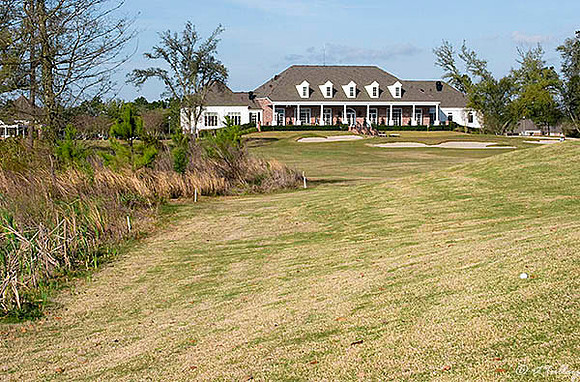 Gray Plantation #18