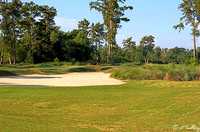 TPC Louisiana #2
