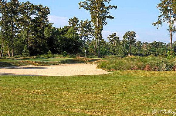 TPC Louisiana #2